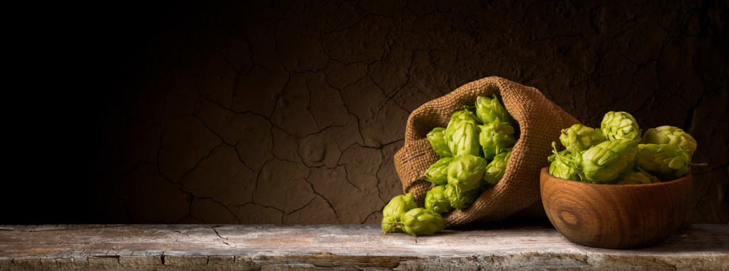 Auf einer Zeitreise mit Bier: Das flüssige Gold des Mittelalters Auf einer Zeitreise mit Bier: Das flüssige Gold des Mittelalters