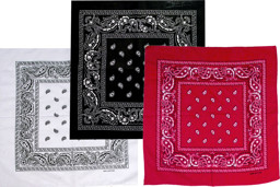 Zeige Details für Westernhalstuch Paisley Bandana Bild von Westernhalstuch Paisley Bandana