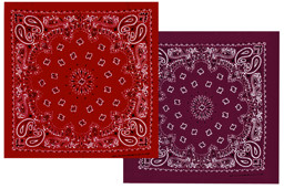 Bild von Westernhalstuch Bandana Paisley