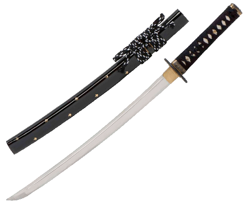 Bild von John Lee Zaza Iaito Wakizashi