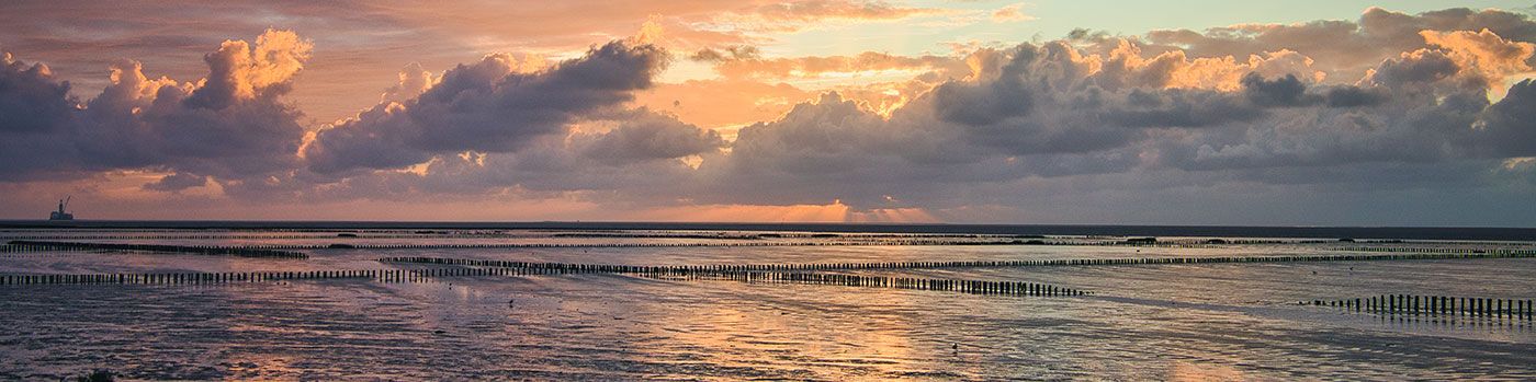 Rungholt – Das Atlantis der Nordsee