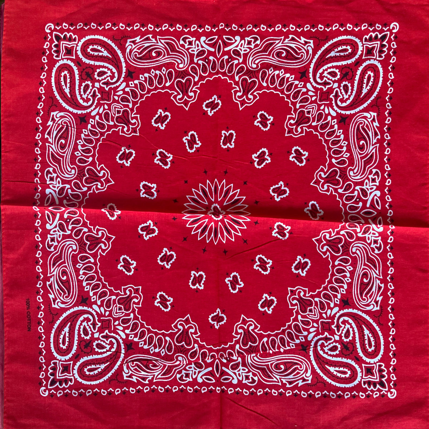 Westernhalstuch Bandana Paisley