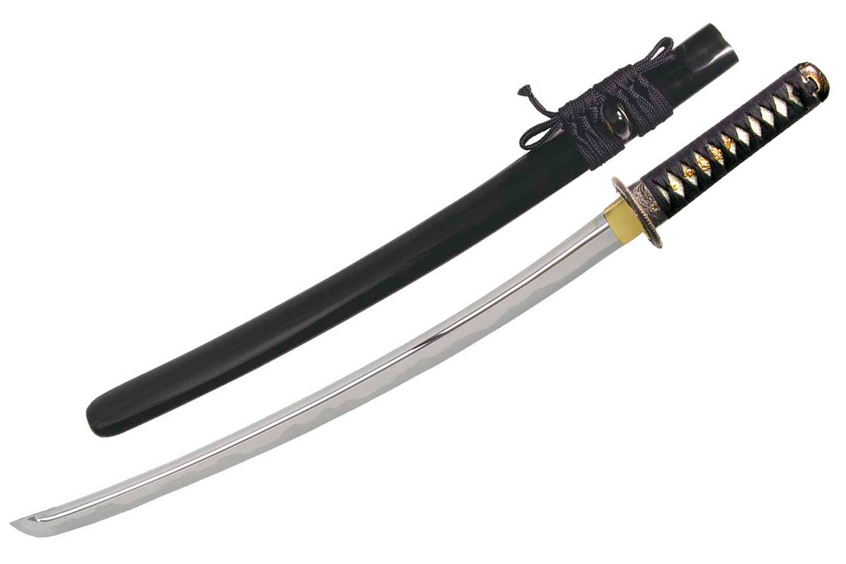 Bild von Paul Chen Shinto Wakizashi SH1015