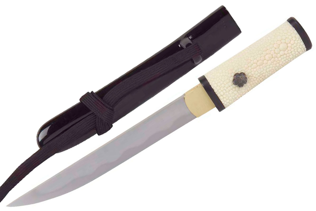 Bild von Practical Tanto Paul Chen SH2254