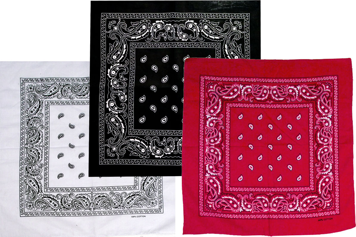 Bild von Westernhalstuch Paisley Bandana