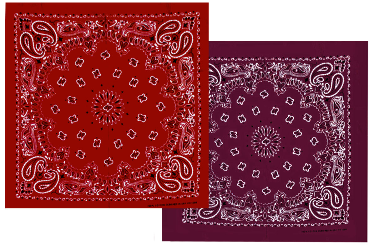 Bild von Westernhalstuch Bandana Paisley