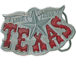 Bild von Gürtelschnalle Texas Lone Star